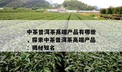 中茶普洱茶高端产品有哪些，探索中茶普洱茶高端产品：揭秘知名