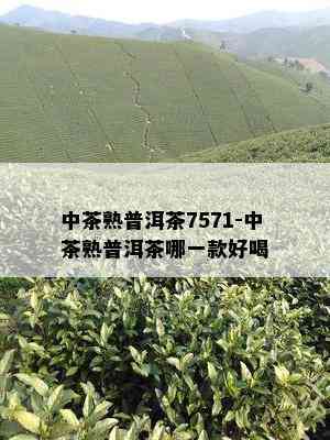 中茶熟普洱茶7571-中茶熟普洱茶哪一款好喝