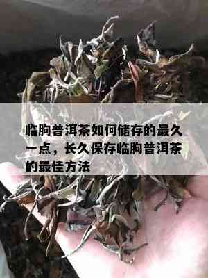 临朐普洱茶如何储存的最久一点，长久保存临朐普洱茶的更佳方法