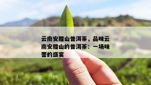 云南安腊山普洱茶，品味云南安腊山的普洱茶：一场味蕾的盛宴