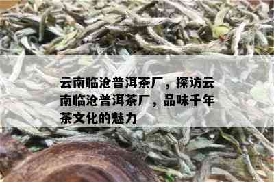 云南临沧普洱茶厂，探访云南临沧普洱茶厂，品味千年茶文化的魅力