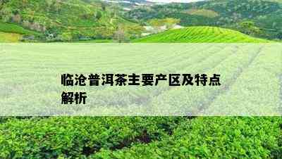 临沧普洱茶主要产区及特点解析