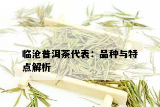 临沧普洱茶代表：品种与特点解析