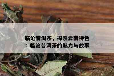 临沧普洱茶，探索云南特色：临沧普洱茶的魅力与故事