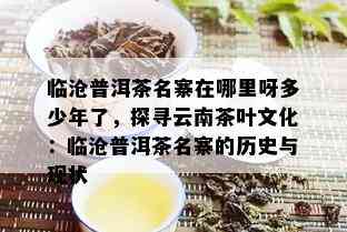 临沧普洱茶名寨在哪里呀多少年了，探寻云南茶叶文化：临沧普洱茶名寨的历史与现状