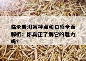 临沧普洱茶特点和口感全面解析：你真正了解它的魅力吗？