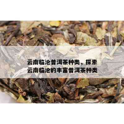 云南临沧普洱茶种类，探索云南临沧的丰富普洱茶种类