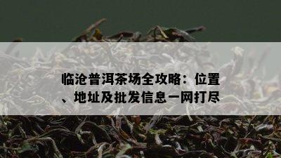 临沧普洱茶场全攻略：位置、地址及批发信息一网打尽