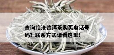 查询临沧普洱茶购买电话号码？联系方式请看这里！