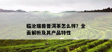 临沧瑞兽普洱茶怎么样？全面解析及其产品特性