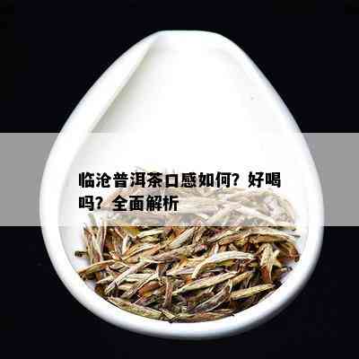 临沧普洱茶口感如何？好喝吗？全面解析