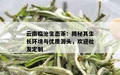 云南临沧生态茶：揭秘其生长环境与优质源头，欢迎批发定制