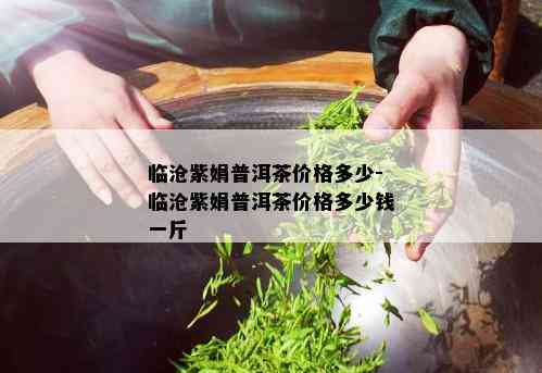 临沧紫娟普洱茶价格多少-临沧紫娟普洱茶价格多少钱一斤