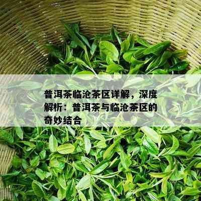 普洱茶临沧茶区详解，深度解析：普洱茶与临沧茶区的奇妙结合