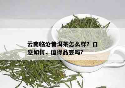 云南临沧普洱茶怎么样？口感如何，值得品尝吗？