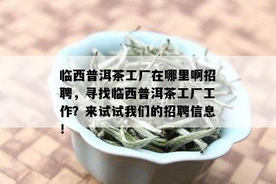 临西普洱茶工厂在哪里啊招聘，寻找临西普洱茶工厂工作？来试试我们的招聘信息！