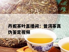 丹妮茶叶直播间：普洱茶真伪鉴定视频