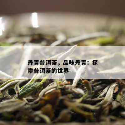 丹青普洱茶，品味丹青：探索普洱茶的世界