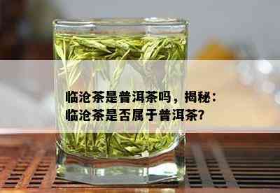 临沧茶是普洱茶吗，揭秘：临沧茶是否属于普洱茶？