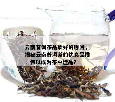 云南普洱茶品质好的原因，揭秘云南普洱茶的优良品质：何以成为茶中佳品？