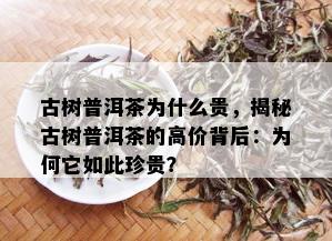 古树普洱茶为什么贵，揭秘古树普洱茶的高价背后：为何它如此珍贵？