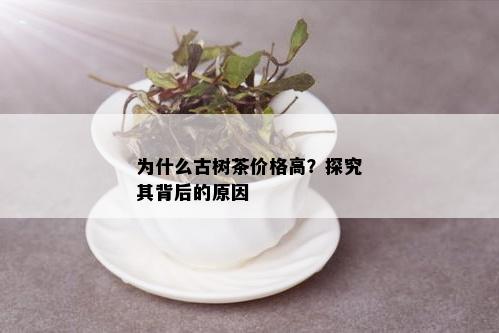 为什么古树茶价格高？探究其背后的原因