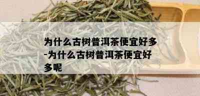 为什么古树普洱茶便宜好多-为什么古树普洱茶便宜好多呢