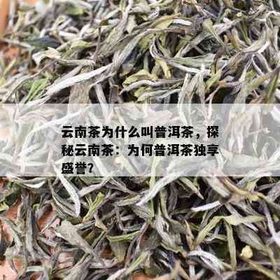 云南茶为什么叫普洱茶，探秘云南茶：为何普洱茶独享盛誉？