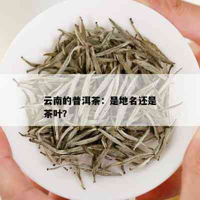 云南的普洱茶：是地名还是茶叶？