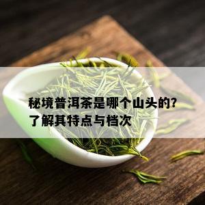 秘境普洱茶是哪个山头的？了解其特点与档次