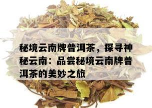 秘境云南牌普洱茶，探寻神秘云南：品尝秘境云南牌普洱茶的美妙之旅