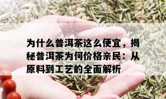 为什么普洱茶这么便宜，揭秘普洱茶为何价格亲民：从原料到工艺的全面解析