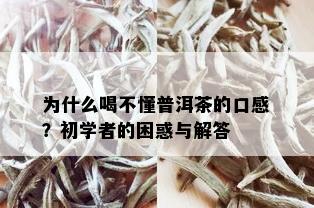 为什么喝不懂普洱茶的口感？初学者的困惑与解答