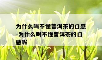 为什么喝不懂普洱茶的口感-为什么喝不懂普洱茶的口感呢