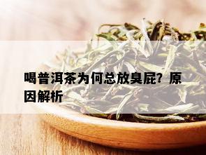 喝普洱茶为何总放臭屁？原因解析