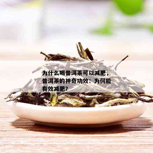 为什么喝普洱茶可以减肥，普洱茶的神奇功效：为何能有效减肥？