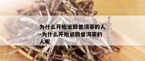 为什么开始诋毁普洱茶的人-为什么开始诋毁普洱茶的人呢