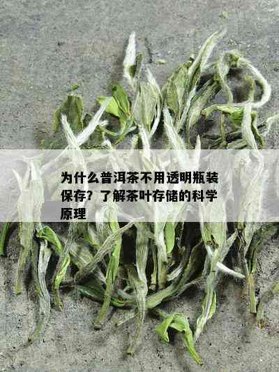 为什么普洱茶不用透明瓶装保存？了解茶叶存储的科学原理