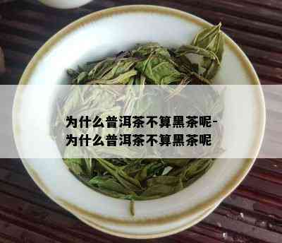 为什么普洱茶不算黑茶呢-为什么普洱茶不算黑茶呢