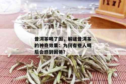 普洱茶喝了困，解谜普洱茶的神奇效果：为何有些人喝后会感到困倦？