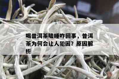 喝普洱茶瞌睡咋回事，普洱茶为何会让人犯困？原因解析