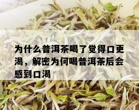 为什么普洱茶喝了觉得口更渴，解密为何喝普洱茶后会感到口渴