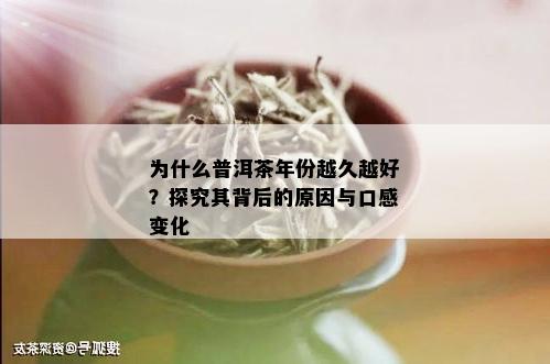 为什么普洱茶年份越久越好？探究其背后的原因与口感变化