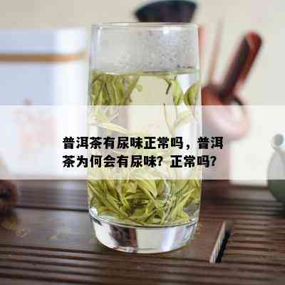 普洱茶有尿味正常吗，普洱茶为何会有尿味？正常吗？