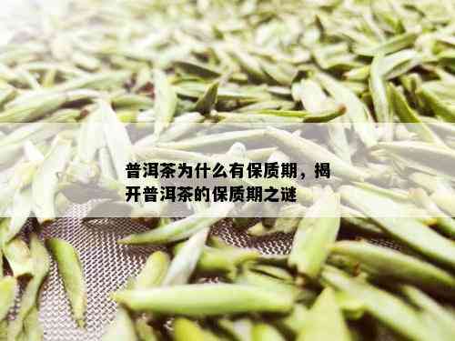 普洱茶为什么有保质期，揭开普洱茶的保质期之谜