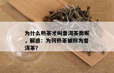 为什么熟茶才叫普洱茶类呢，解惑：为何熟茶被称为普洱茶？