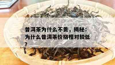 普洱茶为什么不贵，揭秘：为什么普洱茶价格相对较低？