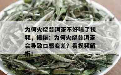 为何火烧普洱茶不好喝了视频，揭秘：为何火烧普洱茶会导致口感变差？看视频解析！