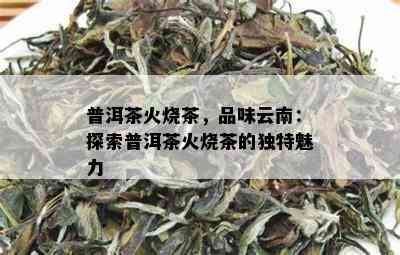 普洱茶火烧茶，品味云南：探索普洱茶火烧茶的独特魅力