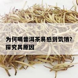 为何喝普洱茶易感到饥饿？探究其原因